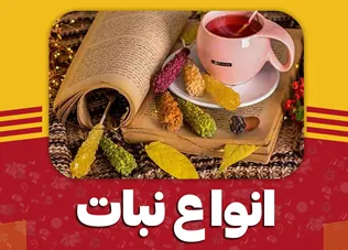 نبات